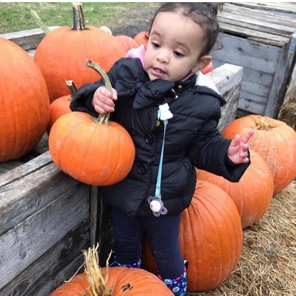 Meet your Posher, Jeffrey - Picture 1 of 1